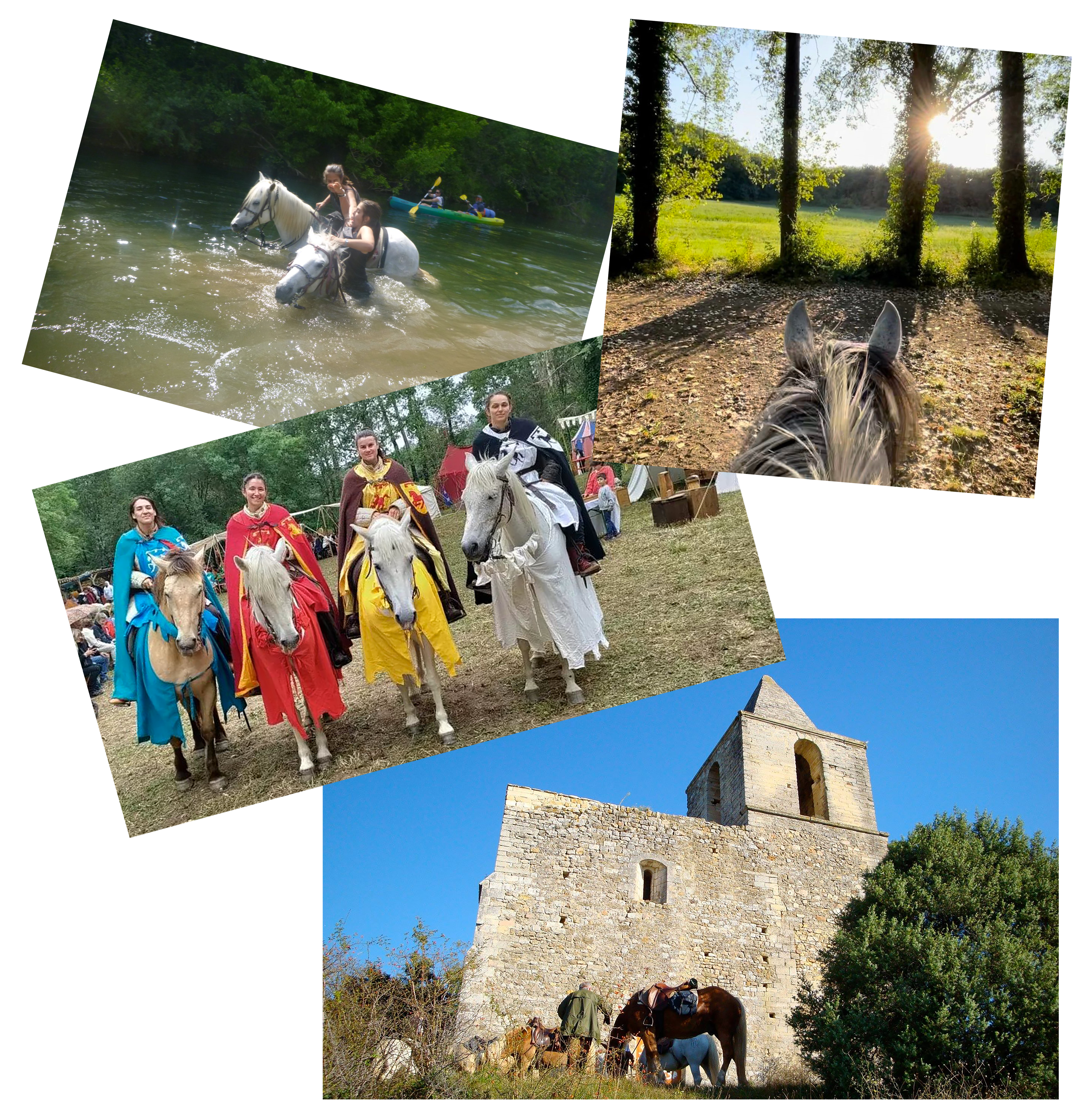 Des chevaux !